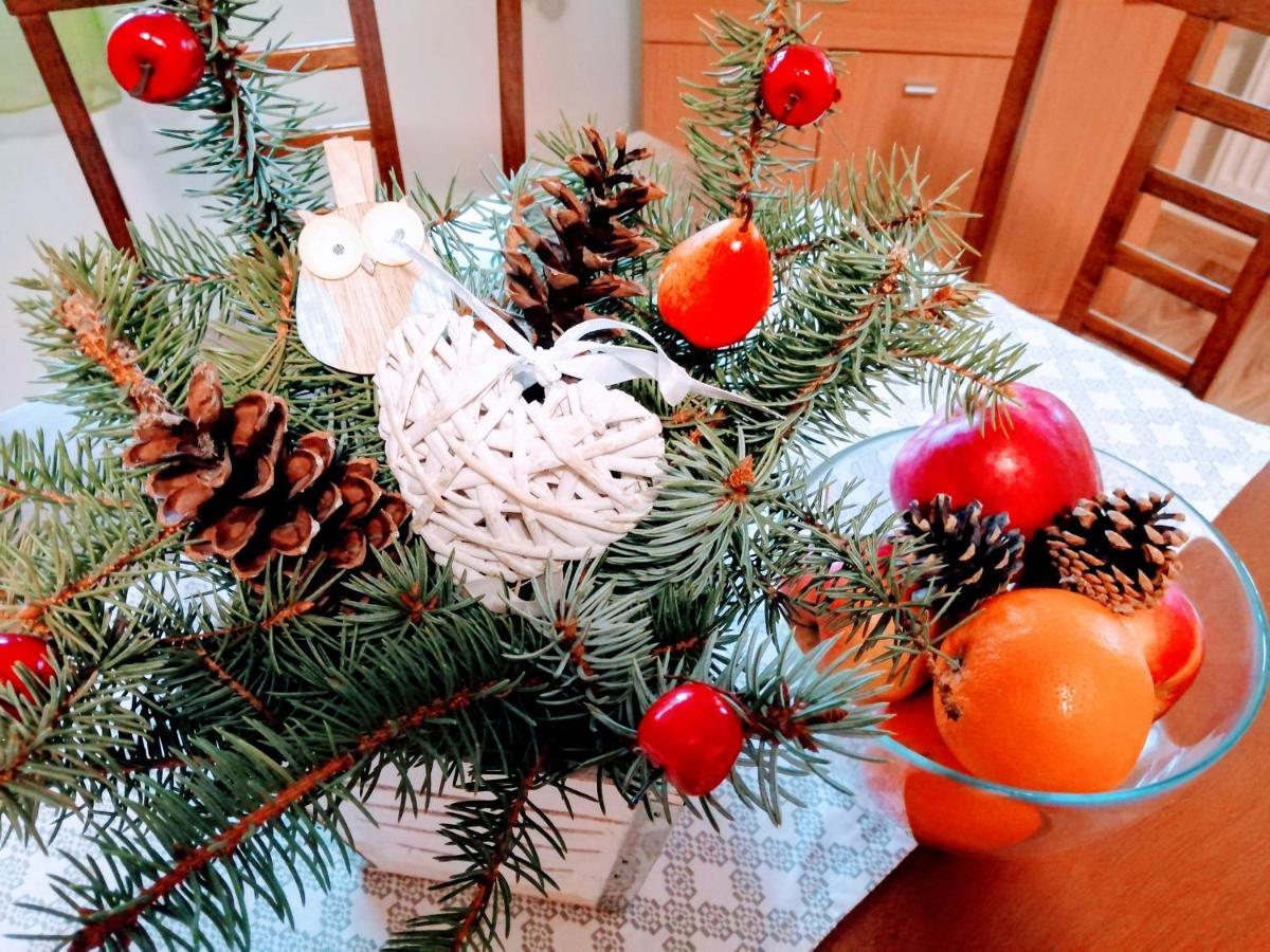 Apartman Paula -Dovolenka Pri Aquaparku Liptovský Mikuláš エクステリア 写真